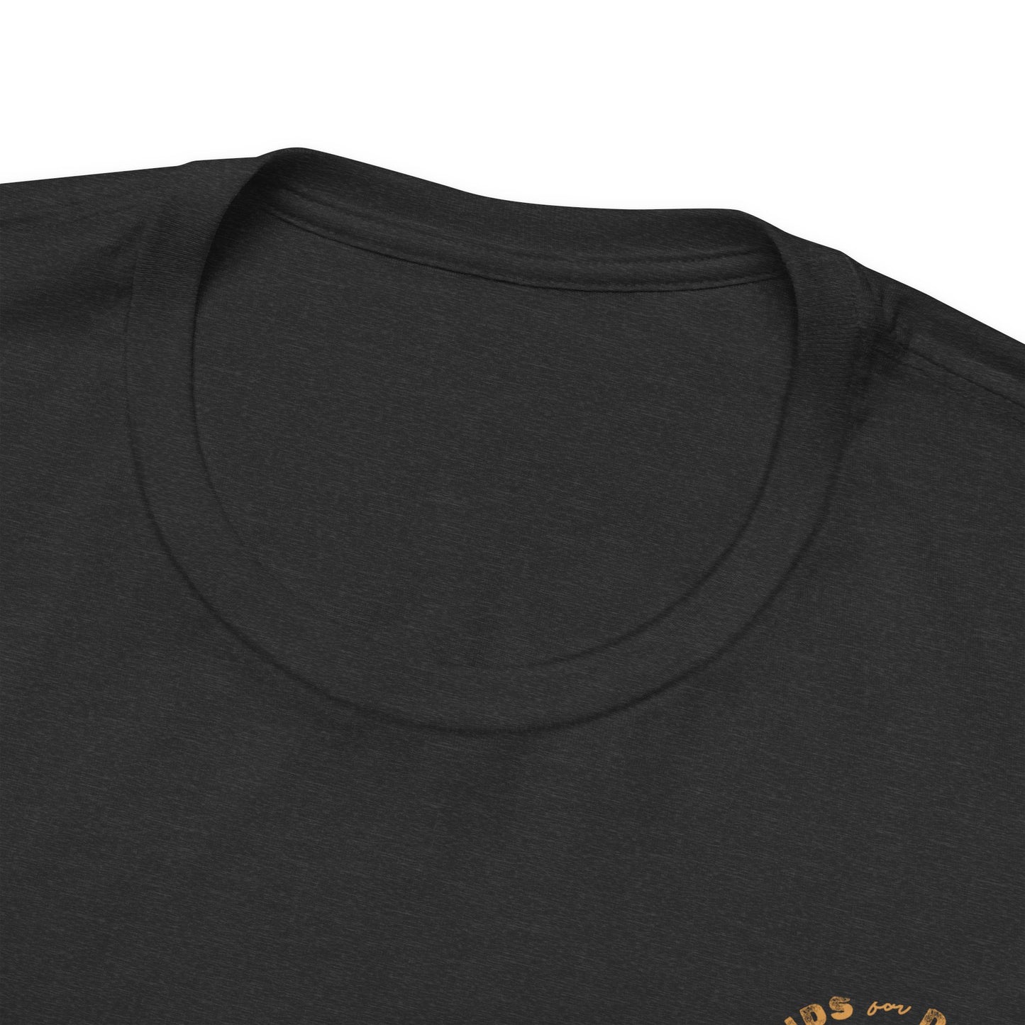 Grounds for Divorce BELLA + CANVAS Unisex Jersey Short Sleeve Tee